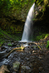 Fototapeta na wymiar Waterfall in the Columbia River Gorge, Oregon