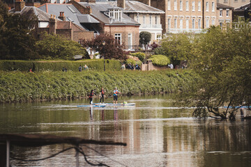 People Paddle Boarding on the River Thames, West London