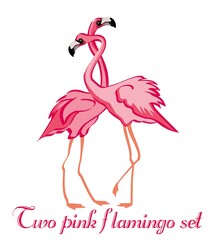 Couple pink flamingos. Exotic bird, cartoon character. Vector illustration.