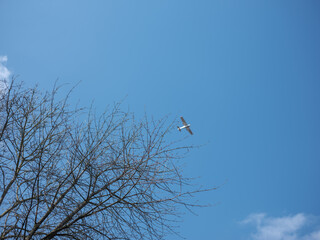 Flugzeug am Himmel