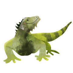 Iguana
