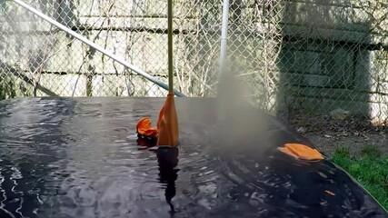 Pinching balloon with water with wooden sharp stick in slow motion - Powered by Adobe