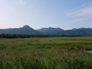 Obraz premium A glimpse at scenic Alaskan vistas 