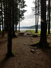 A glimpse at scenic Alaskan vistas 