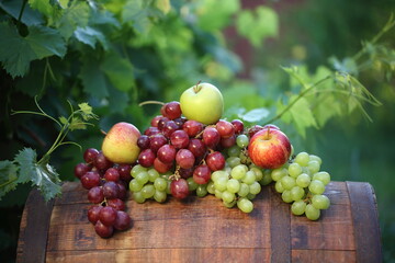red and green grapes