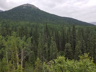 A glimpse at scenic Alaskan vistas 