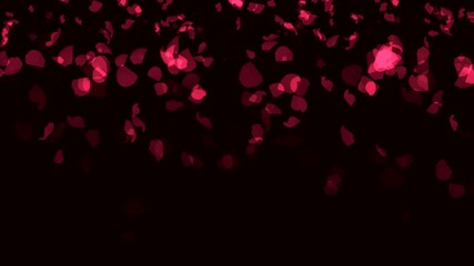 red rose petals on black background - Powered by Adobe