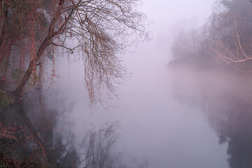 Fototapeta premium Misty river at dawn