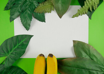 Summer. Floral summer background. Leaves. Copy space