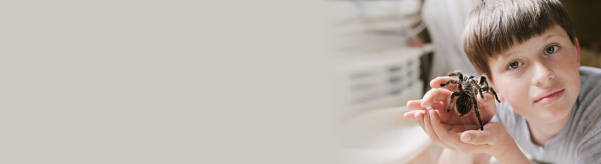 spider is crawling on arm. Simmwall Halloween. terrible female Tarantula.