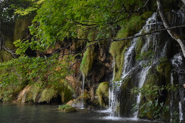 waterfall in the woods