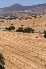 Obraz premium Santa Inez, CA, USA - May 26, 2021: San Lorenzo Seminary. Portrait shot over yellow dry valley field with freshly harvested hay bales. Some dark green trees and a tractor. Mountains on horizon.