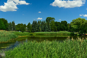 A lake with grass and trees on its bank on a spring sunny day with a clear blue sky in Jarry park, Montreal, QC. Love, care, romance, happiness, positive energy, inspiration, tranquil concepts