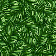 Tropical pattern with green palm leaves. Vector seamless texture.