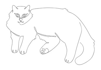 Neva Masquerade cat in trendy line art style isolated on white background. Adorable siberian adult cat with cute paws laying down. Beautiful print for your design. Vector illustration.