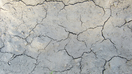 The texture of the ground with cracks. Background