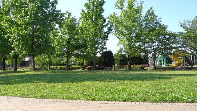 新緑美しい朝の公園の風景（パン撮影）