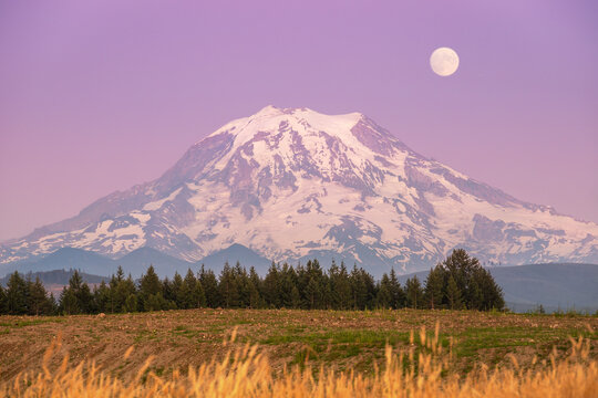 Mt. Rainier at Sunset with Moon in Purple Sky