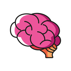 human brain organ