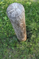 a wooden post and grass
