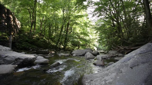 Smoky mountain babbling brook 