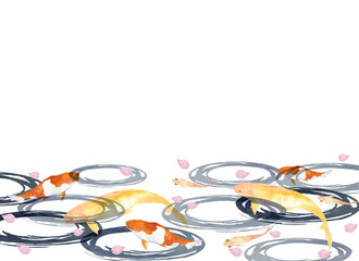 Fototapeta premium 鯉の上に桜の花びらが散る水彩画