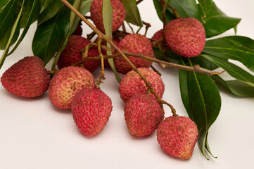 Lychee (Litchi chinensis) fruits and leaves on a white background