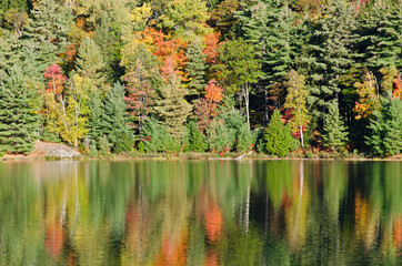 Sunrise above forest lake