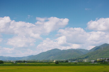 Naklejka premium 里山と空