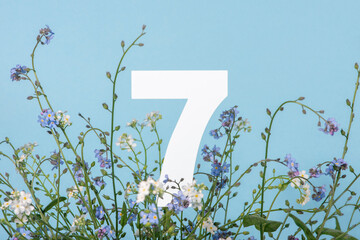 Number seven among blue flowers on blue background. Birthday, anniversary, jubilee concept.