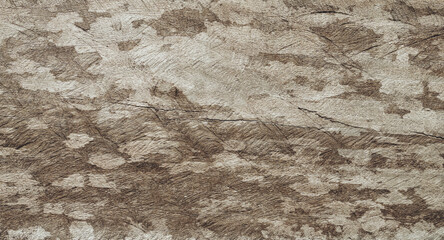 old brown wooden  texture  background