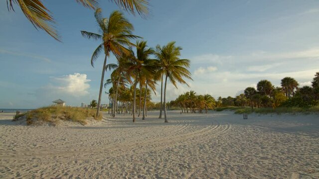 Zen beach scene Miami FL