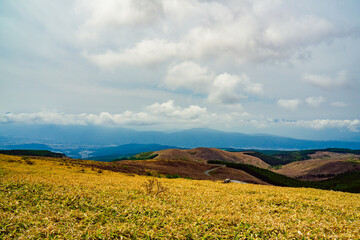 車山肩　高原　春