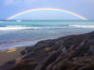 hawaii rainbow