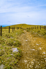 Fototapeta premium 霧ヶ峰を歩く 風景 