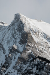 snow covered mountains