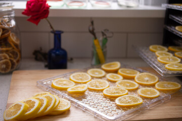 sliced lemons placed on racks of dehydrator