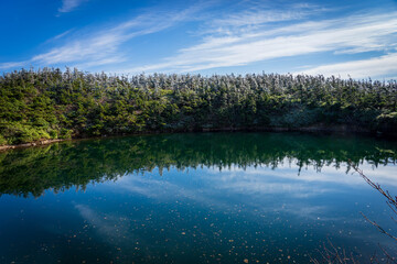 Obraz na płótnie Canvas 湖と水面に反射した林