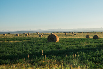 landscape with bales