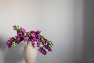 lilac in vase on gray background 