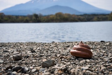 浜辺のウンチ