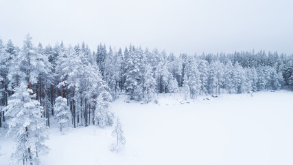 Aerial view of winter landscape. Panorama of the frozen lake in the middle of a forest. Winter wonderland.