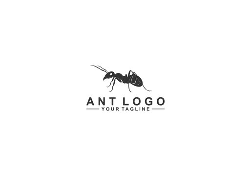 ant logo illustration on white background