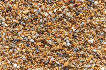 Detail of small pebbles on the beach.
