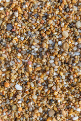 Detail of small pebbles on the beach.