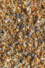 Detail of small pebbles on the beach.