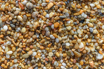 Detail of small pebbles on the beach.
