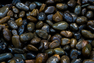 Small stone texture for background. Group of brown, grey and black pebbles, flat lay texture in daylight