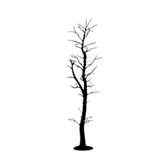 dead Tree silhouette on white background