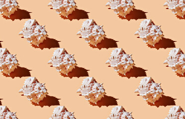 Obraz premium Pattern of sea shells on orange background